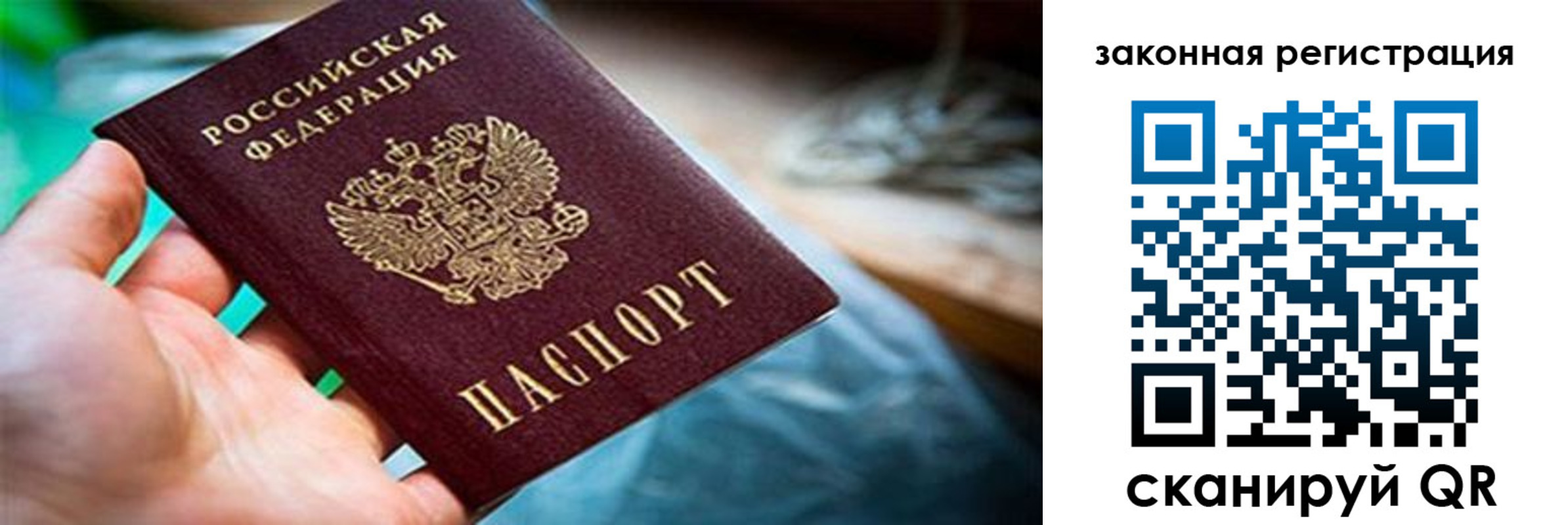 прописка для школы в Дмитрове
